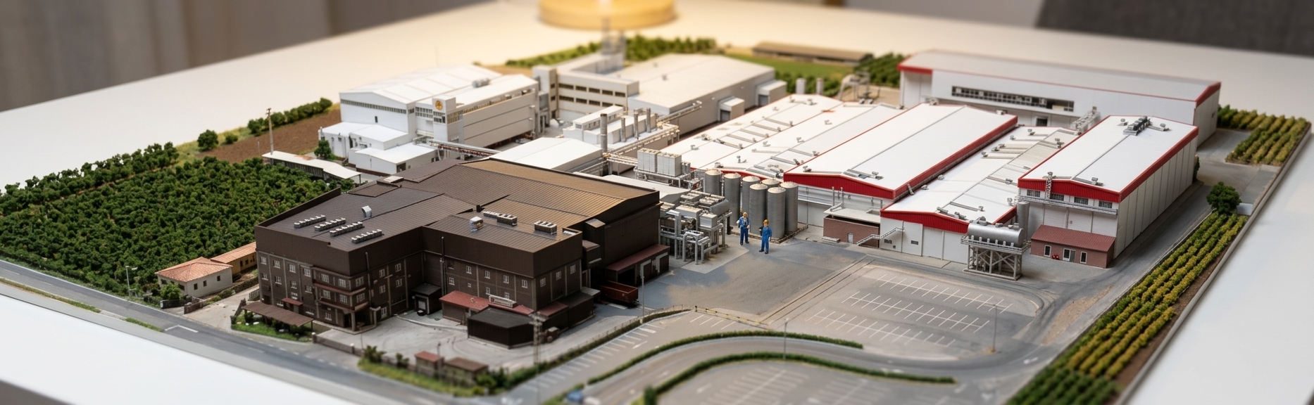 Palacios Alimentación